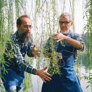 Il teatro va in montagna: al Gran Paradiso spettacoli itineranti nella natura per tutta la famiglia