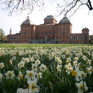 Al Castello di Racconigi domenica torna l'appuntamento con “le Nvove Mvsiche”