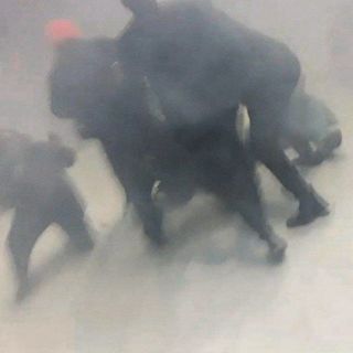 Attiviste nonviolente denunciano: &quot;Prese a calci e pugni da personale del circo &quot;Royal&quot; Orfei&quot;