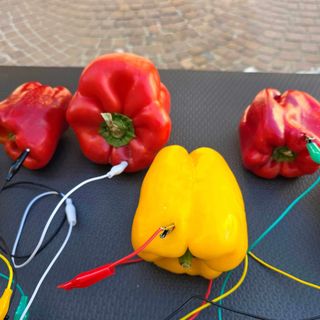 Il suono del peperone: un'installazione unica alla 76esima edizione della Fiera Nazionale del Peperone di Carmagnola