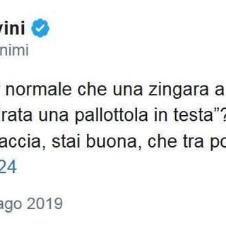 Il tweet di Salvini