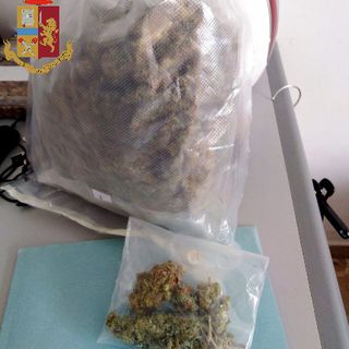 Spaccio, teneva oltre 400 grammi di marijuana in casa nel quartiere San Donato: arrestato