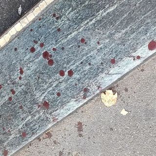 Foto di archivio di tracce di sangue sul terreno