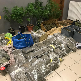 Altro che &quot;marijuana legale&quot;, sgominata la banda che riforniva di droga San Salvario: 7 arresti [FOTO e VIDEO]