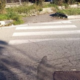 Auto a tutta velocità su corso Sella, il Comune: &quot;Rifacciamo le strisce pedonali e la segnaletica&quot;