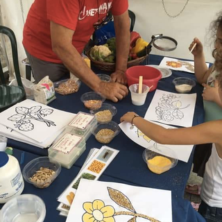 Settimane della Scienza: doppio appuntamento con la biologia, anche per i più piccoli