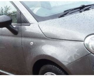 Ordinata dal pm autopsia per Silvia Pavia, la torinese scomparsa e trovata morta