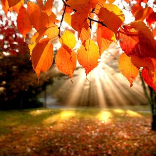 Sole e caldo anche domani, giorno di Ognissanti, poi mercoledì...
