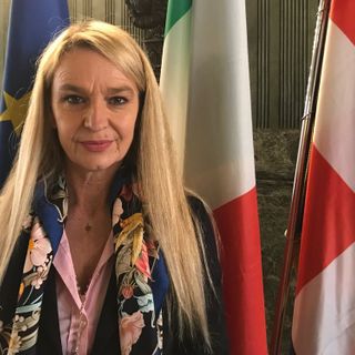 Stefania Pucciarelli, sottosegretario alla Difesa Stefania Pucciarelli, sottosegretario alla Difesa