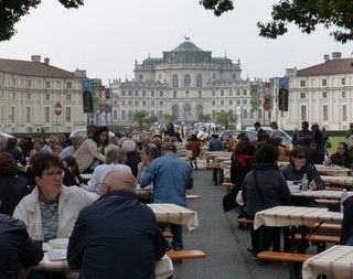 Stupinigi, necessari degli interventi per garantire la stabilità degli alberi del viale di accesso alla Palazzina di Caccia