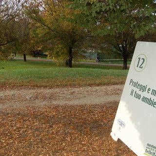 L'associazione Pro.Civi.Co.s. dona due tigli alla Pellerina