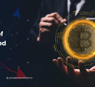 In che modo il rilascio dell'exchange decentralizzato TMS Network (TMSN) potrebbe influenzare gli investitori di Cardano (ADA) e Fantom (FTM)?