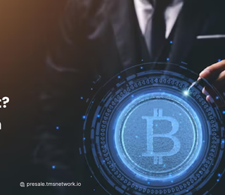 Ricchezza trasformativa con TMS Network (TMSN), Monero (XMR) e Polygon (MATIC) sono finiti?