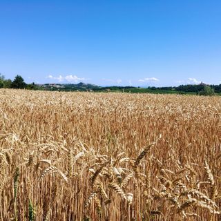 Obiettivo valorizzare le eccellenze del territorio e creare opportunità di lavoro