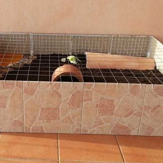 Linee guida per acquistare un terrario per tartarughe terrestri