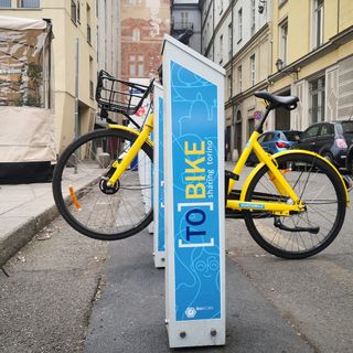 Domani Greenpeace Torino 'celebrerà il funerale' di Tobike