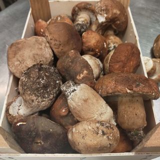 Il menù della Trattoria del Ponte di Verezzo si arricchisce di tre nuovi primi gourmet: Ravioli con ripieno di Funghi Porcini, Tagliolini di Lumaca e Risotto mantecato con le Lumache