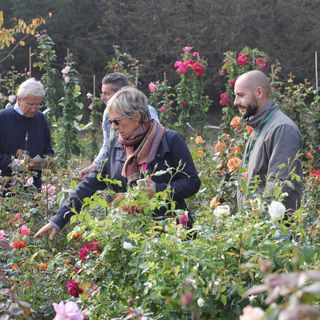 “Tre giorni per il giardino”: dal 18 al 20 ottobre appuntamento al Castello di Masino