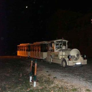 A vedere i fuochi di San Giovanni di Torino o nel Parco della Mandria sul “Treno incantato”: appuntamenti targati “Polaris Viaggi”