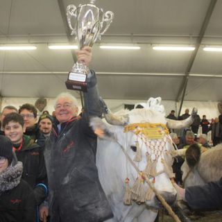 La Banca Alpi Marittime a sostegno della “Fiera del Bue grasso” di Carrù