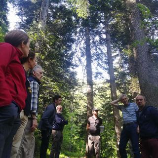 La valle Germanasca cresce con la filiera legno locale