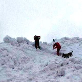 Al via la terza edizione dello stage di ricerca in valanga per unità cinofile e battitori