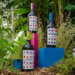 L'associazione Caffè Storici di Torino e del Piemonte partner del Salone del Vermouth
