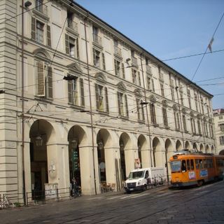 Tornano gli "Alberi in Centro": un centinaio di abeti nelle vie Po, Garibaldi e Carlo Alberto Tornano gli "Alberi in Centro": un centinaio di abeti nelle vie Po, Garibaldi e Carlo Alberto