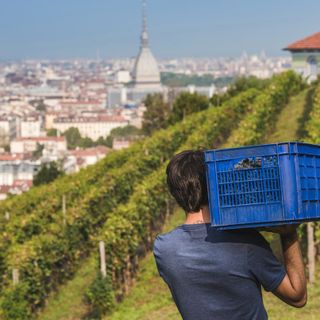 Villa della Regina finisce su Forbes