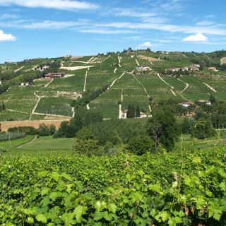 Torino e il Piemonte al fianco di AISLA per combattere la SLA con un bicchiere di vino