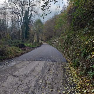 Far reddito con i boschi: dal luppolo al castagno, tra i rami cresce lo sviluppo dei territori