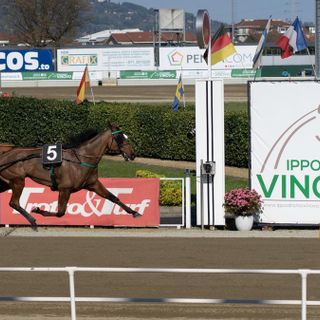 Un'altra domenica di grande trotto a Vinovo