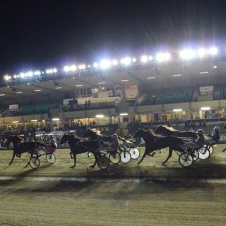Ippodromo di Vinovo, il 4 agosto 88 cavalli al via: saranno impegnati in 8 corse