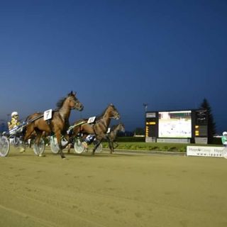Doppio spettacolo all'Ippodromo di Vinovo: il 1° settembre, Gran Premio Marangoni open e Filly in notturna