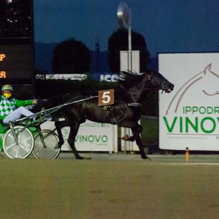 Ippodromo di Vinovo, sabato 21 novembre otto corse: Premio Toronto per intenditori
