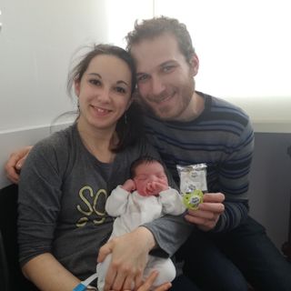 I ciucci di Torino Oggi per Viviana, che ha deciso di arrivare durante la spesa per il cenone
