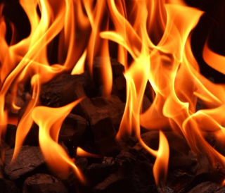 WSM Casino arriva a 10 milioni di dollari di depositi: rialzi in vista per $WSM con l’imminente burning del 5% dei token?