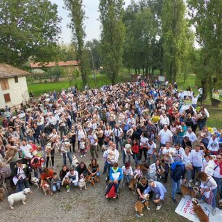 Tutti pazzi per i bulldog: a Torino il più grande raduno nazionale dei cani inglesi