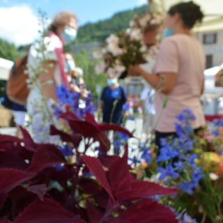AgriFlor dà il benvenuto all'autunno con il suo quarto appuntamento domenica 27 settembre