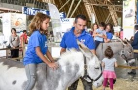 Torna a Torino &quot;Atuttacoda&quot;, la fiera dalla parte degli amici a 4 zampe