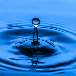 Water to food: con un click si può scoprire quanta acqua 'consuma' ogni alimento