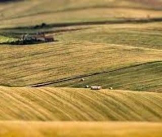 &quot;Io lavoro in Agricoltura&quot; l'assessore Protopapa invita i sindaci a divulgere l'iniziativa tra i cittadini