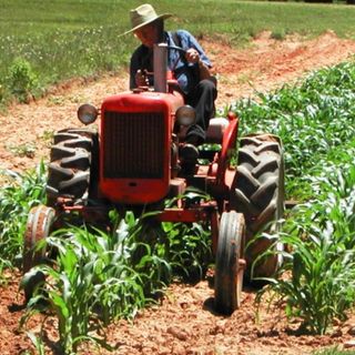 agricoltore - foto d'archivio