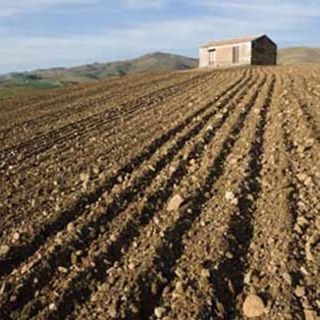 Modifiche al programma di sviluppo rurale: dalla Giunta Regionale più spazio ai giovani