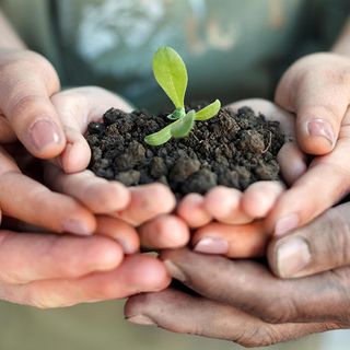 Psr, Coldiretti Torino:&quot;Servono flessibilità e misure straordinarie per sostenere l’agricoltura piemontese&quot;