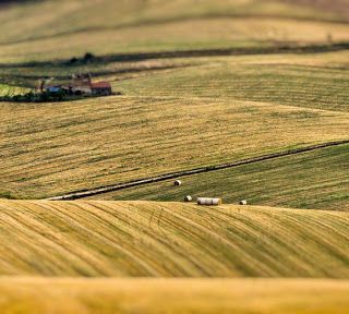 Il mondo delle piccole e medie imprese cresce anche tra i campi: domani il pmi day in agricoltura