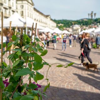 Tra Grangesises e piazza Vittorio Veneto, arriva un weekend all'insegna del verde