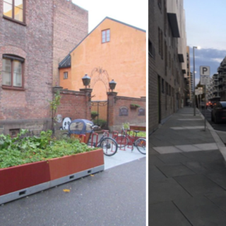 Torino, al via la rivoluzione verde: “Alberi al posto dei cassonetti dell’immondizia&quot;