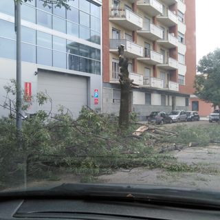 Il maltempo devasta anche la Circoscrizione 7