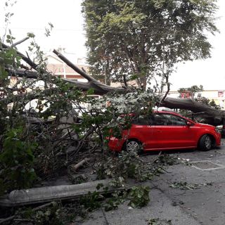 Continua l'ondata di maltempo: allerta gialla in Piemonte sino a domani